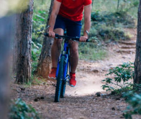 Wypożyczalnia rowerów elektrycznych